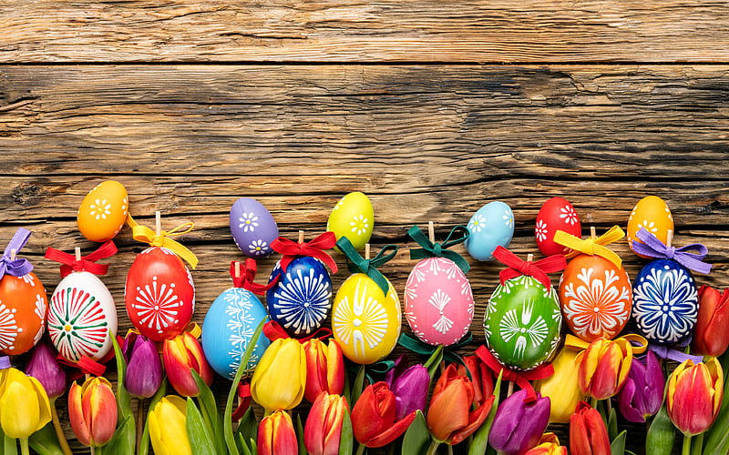 Happy Easter colorful tulips, easter eggs, wooden texture, easter decoration, Easter, HD wallpaper