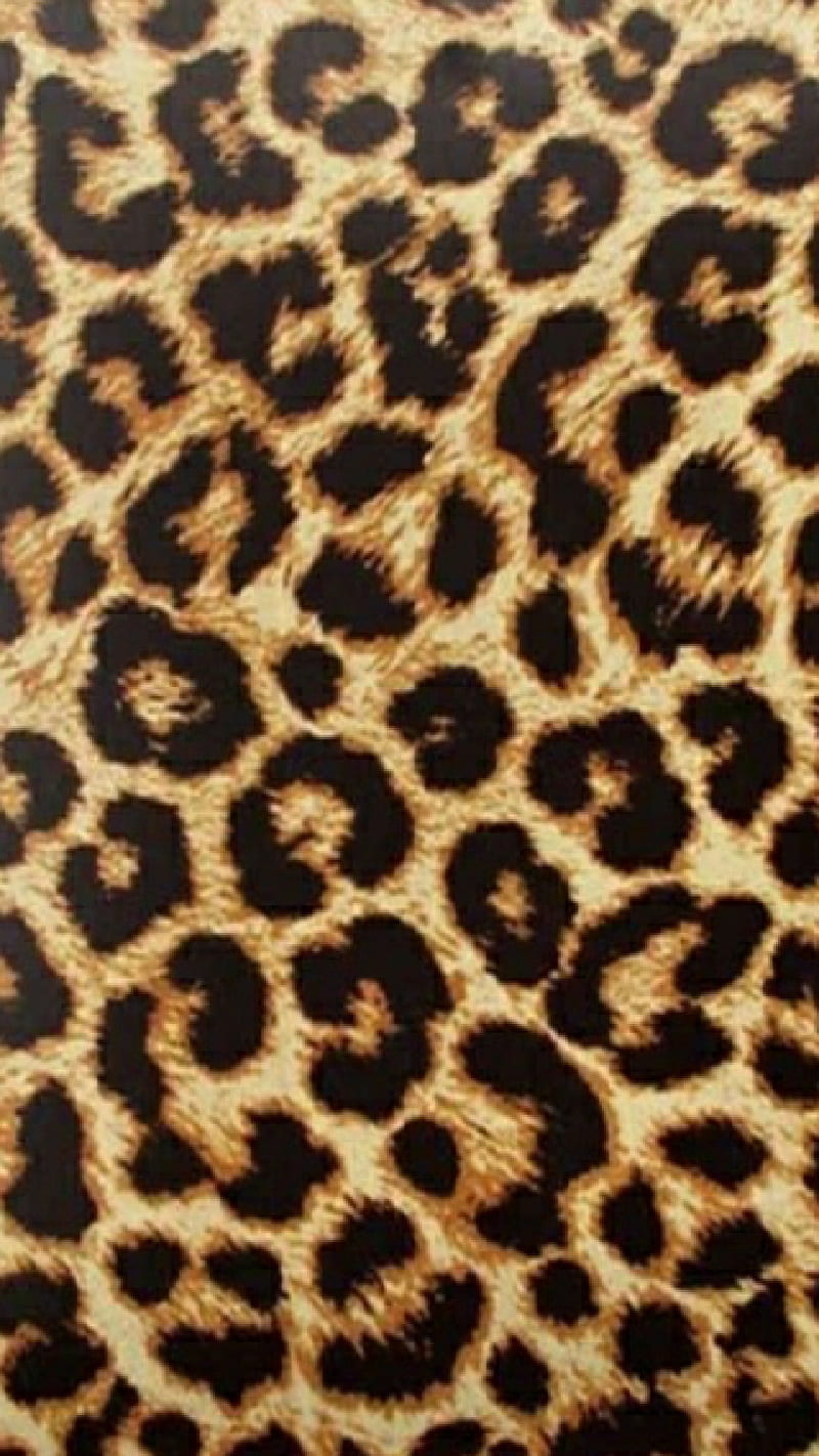 Leopard Print, cat, coat, feline, fur, jungle, safari, skin, wild, HD phone wallpaper