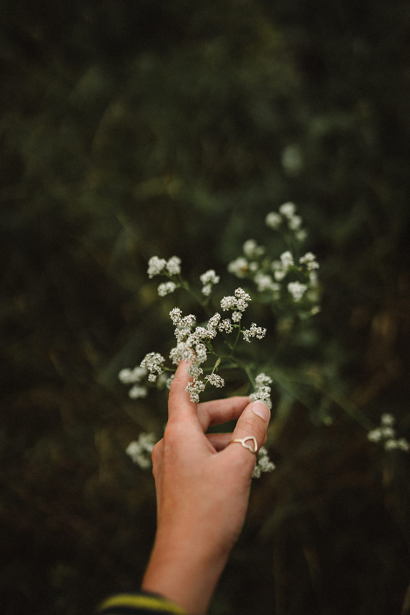 hand, flowers, fingers, ring, HD phone wallpaper