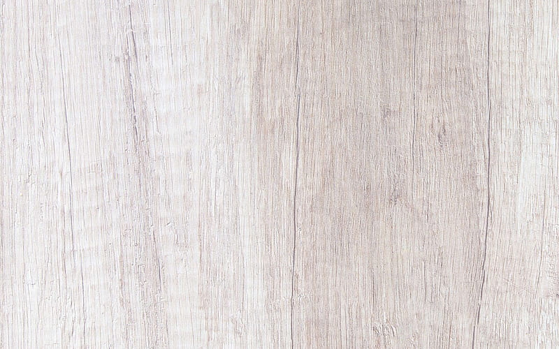 light wood texture, light beech texture, beige wooden background, natural materials, wood, HD wallpaper