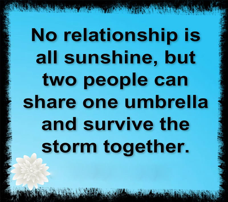 Relationship, life, new, people, saying, share, sunshine, together, HD ...