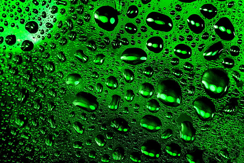 drops, macro, wet, surface, green, HD wallpaper