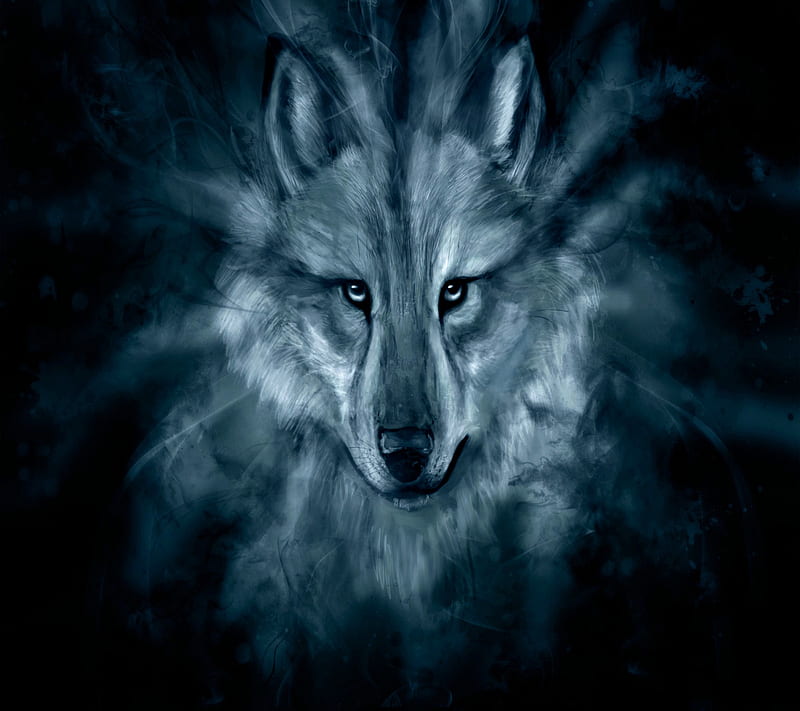 Beautiful Wolf, bonito, wolf, HD wallpaper | Peakpx