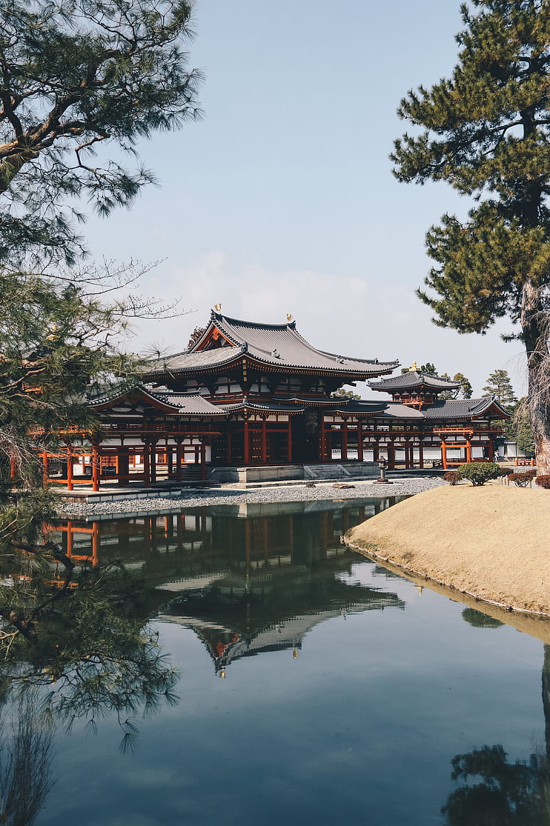 japan, temple, lake, Buddhism, reflection, pagoda, HD phone wallpaper