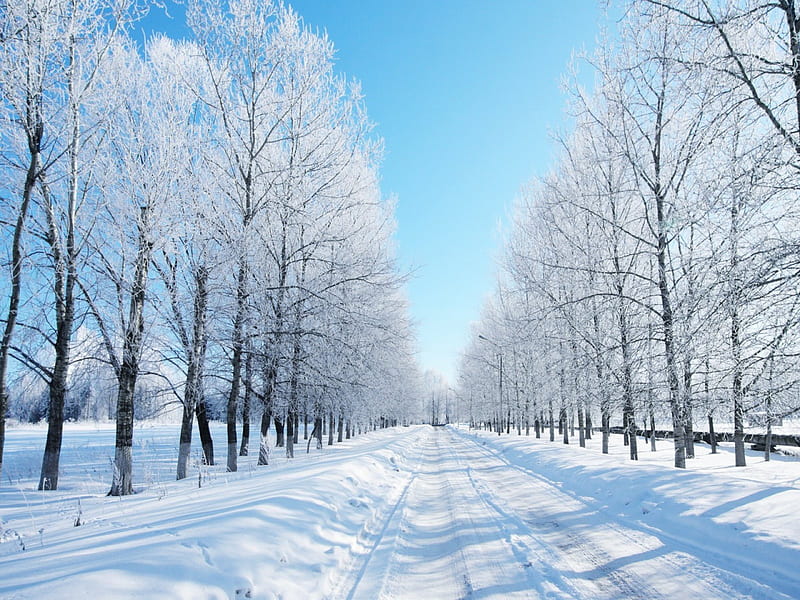 snowy road, lane, white, road, snow, HD wallpaper