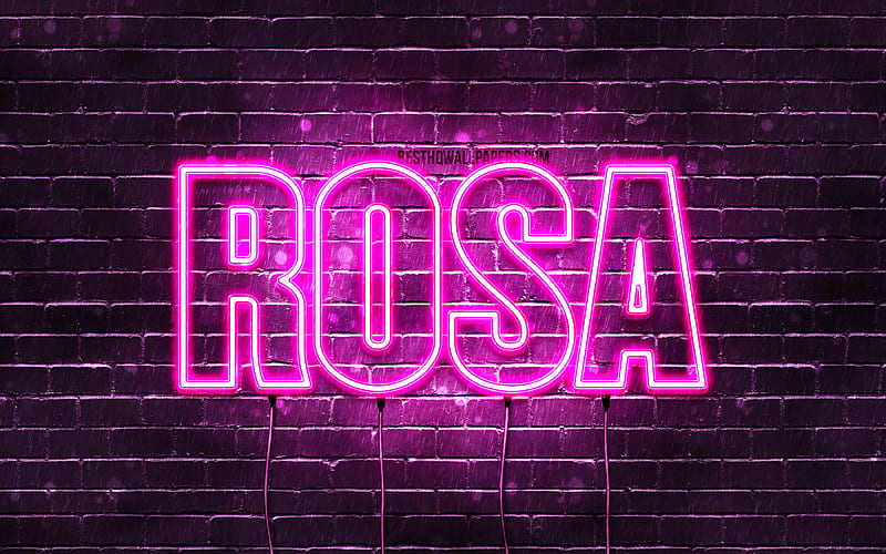 Rosa with names, female names, Rosa name, purple neon lights, horizontal text, with Rosa name, HD wallpaper