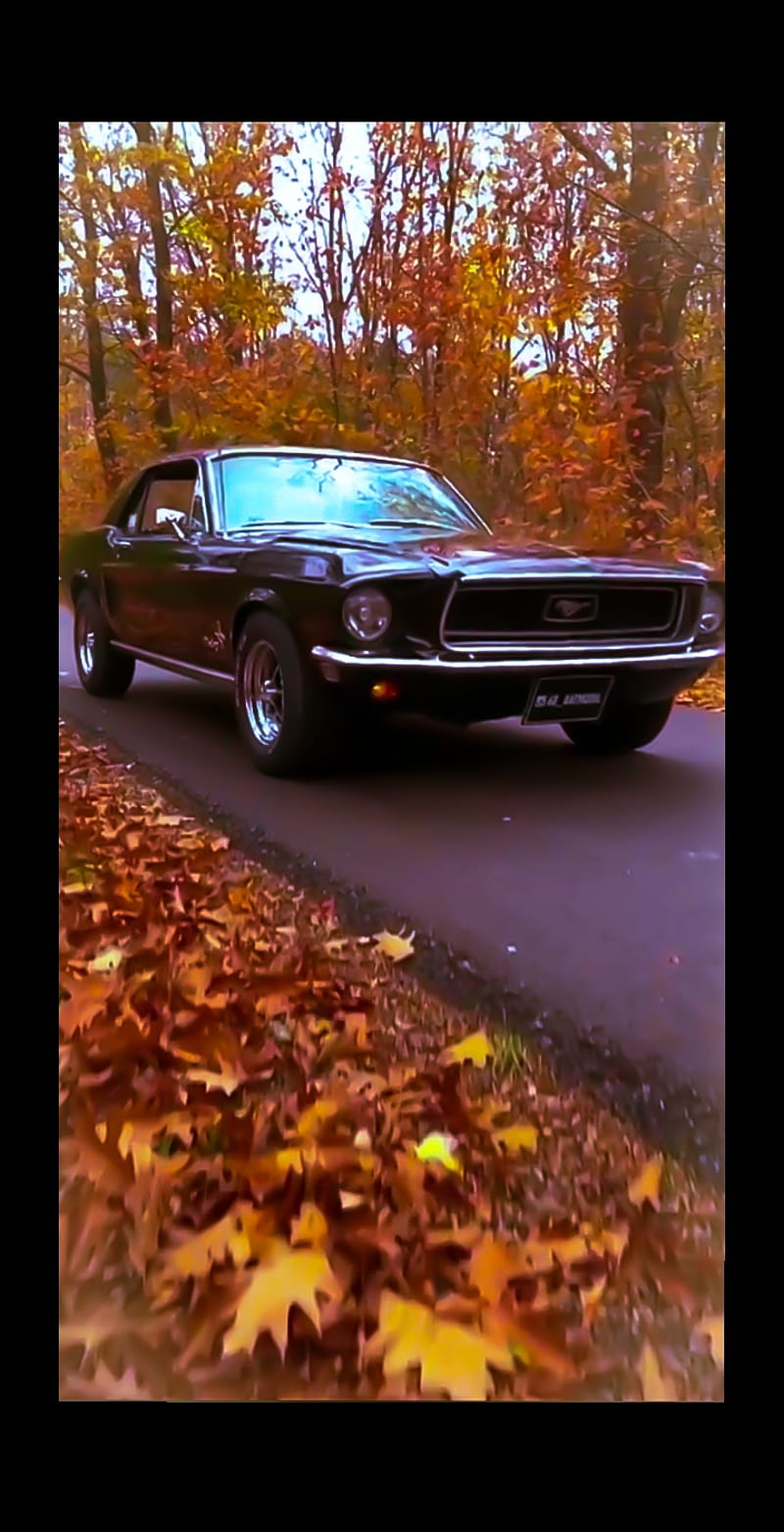 Mustang 1969, classic, mustangs, car, old, muscle, ford, rolls, class, HD  phone wallpaper | Peakpx