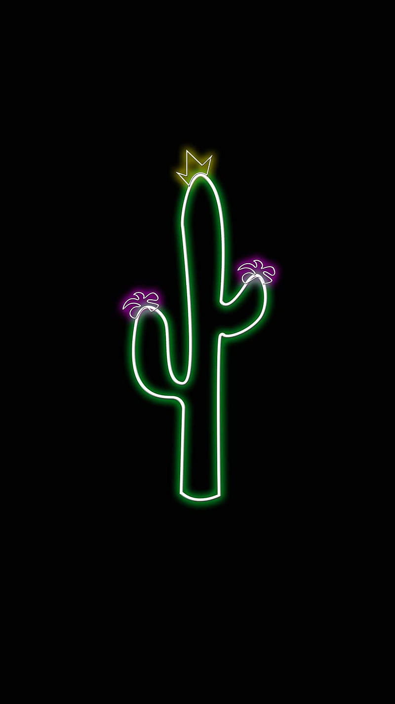 CACTUS CHIDO, nature, phone, HD phone wallpaper