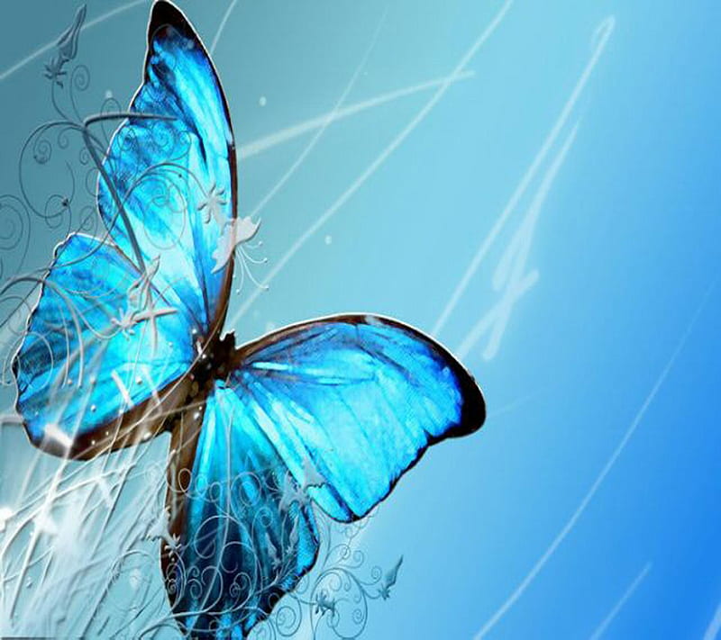 Butterfly, nice, HD wallpaper | Peakpx