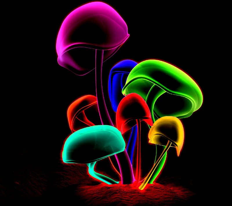 mushrooms, HD wallpaper