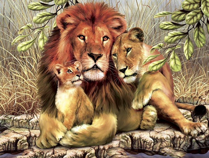 Family Pride, family, rocks, water, wild, cub, jungle, lioness, lion, HD wallpaper
