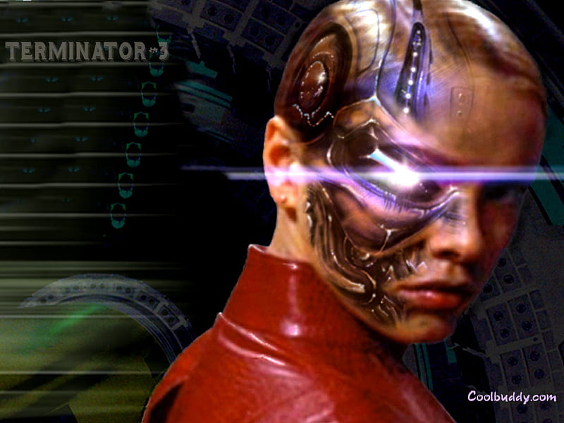 Terminator 3 Rebellion der Maschinen, sci fi, arnold schwarzenegger, the terminator, robot, HD wallpaper