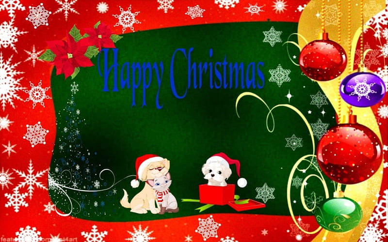 Happy Christmas, glad tidings, christmas fun, waiting for christmas, pets at christmas, HD wallpaper