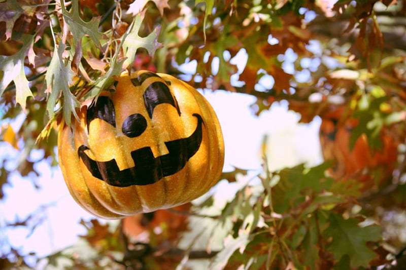 Halloween Tree, Fall, tree, leaves, jack o lantern, pumpkin, Halloween, Autumn, HD wallpaper
