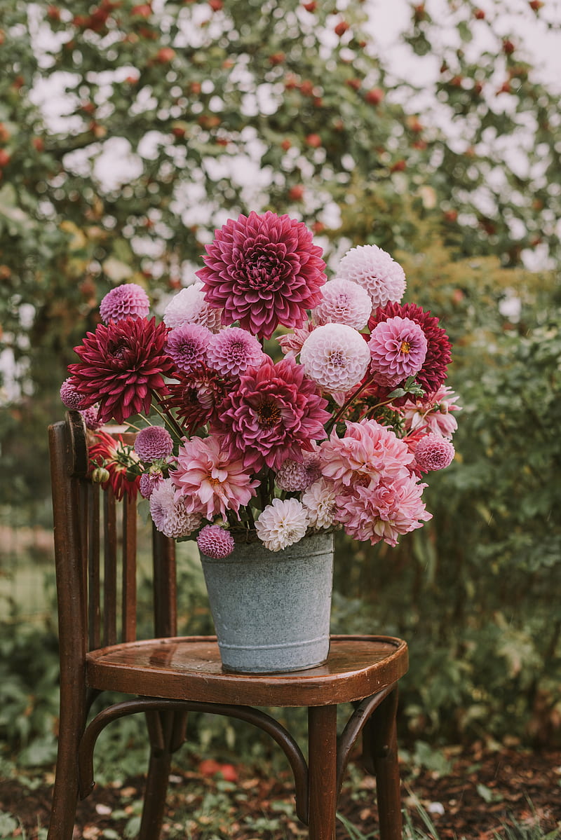 flowers, bouquet, pink, composition, pot, chair, HD phone wallpaper