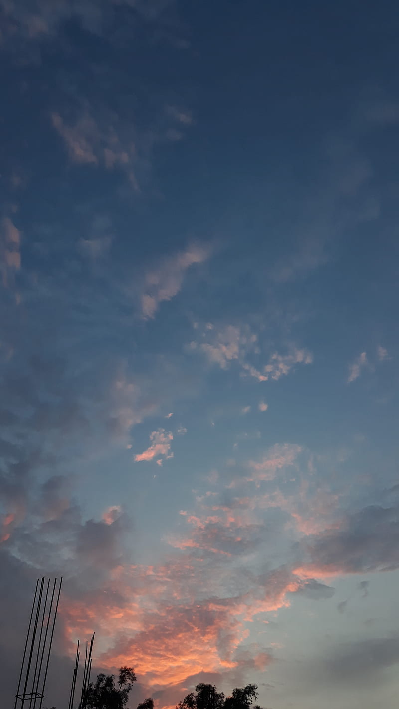 Sunrise, sunsets, sky, beauty, trees, green, clouds, blur, highlight, HD phone wallpaper