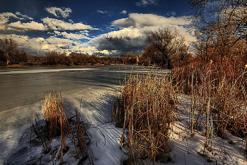 Frozen, silence, sky, clouds, lake, winter, vegetation, beauty, nature, r, white, HD wallpaper