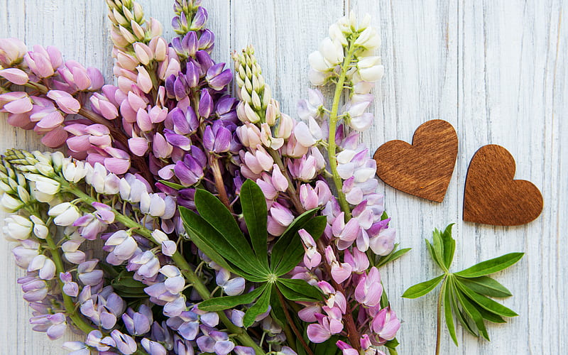 purple lupins, purple flowers, wooden hearts, bouquet of lupins, bouquet of purple flowers, HD wallpaper
