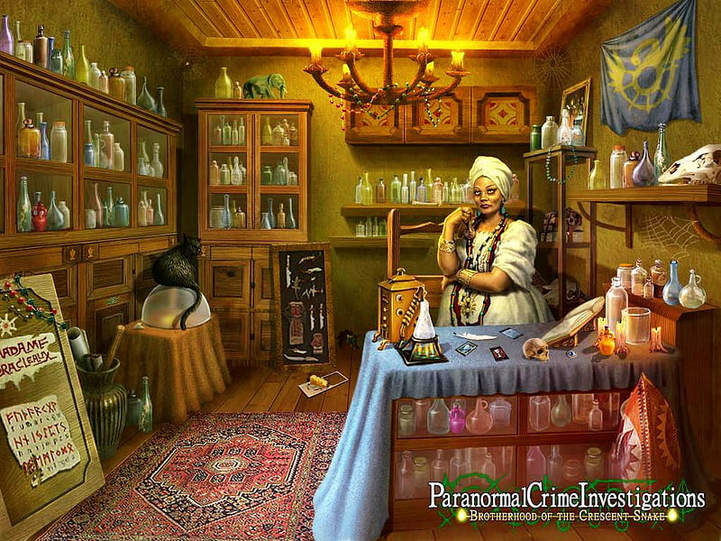 Paranormal Crime Investigations – Brotherhood of the Crescent Snake07, video games, games, hidden object, fun, HD wallpaper