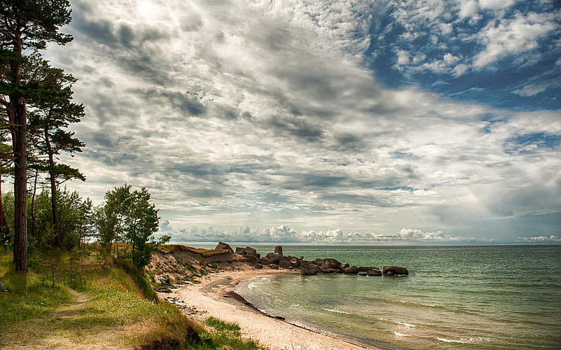 Baltic Sea by Karosta, Liepaja, Latvia, tree, shore, Latvia, clouds, sea, HD wallpaper