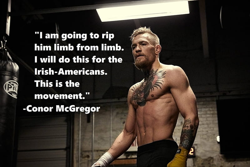 Conor McGregor, Sport, UFC Featherweight Champion, Irish, UFC, Cage Warriors Featherweight, Cage Warriors Lightweight Champion, Lightweight, Featherweight, Mixed Martial Arts, Fighting, MMA, HD wallpaper