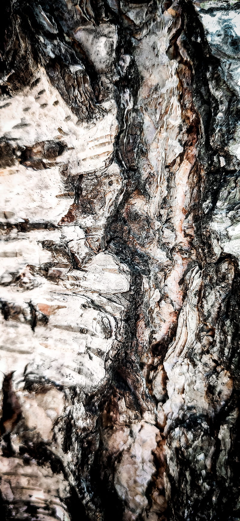 Birch Bark, amoled, dark, homescreen, matrix, mountain, nature, offline, oled, wood, HD phone wallpaper