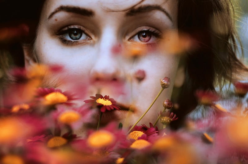 Detrás de las flores, detrás, flores, modelo, mujer, Fondo de pantalla