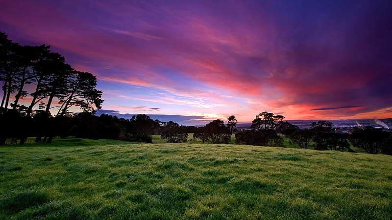 Pleasant nature, sunset, pleasant, grass, HD wallpaper | Peakpx