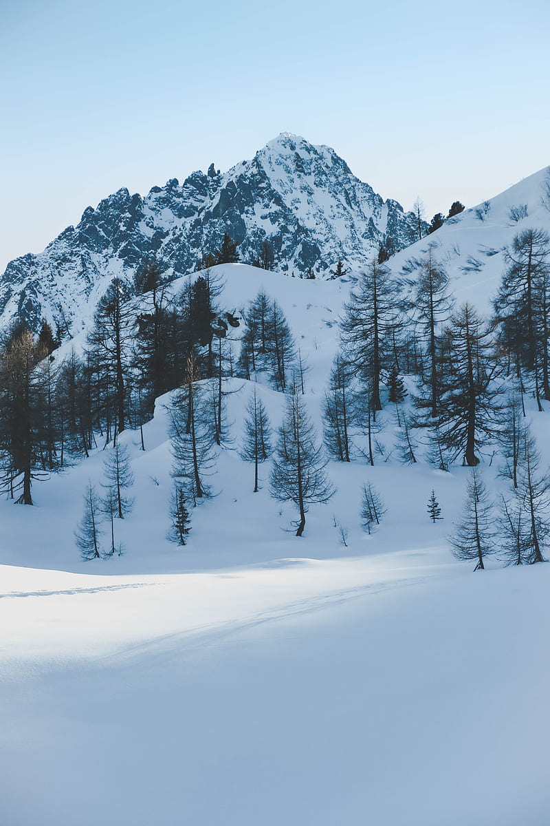 winter, mountain, snow, trees, winter landscape, shadows, HD phone wallpaper
