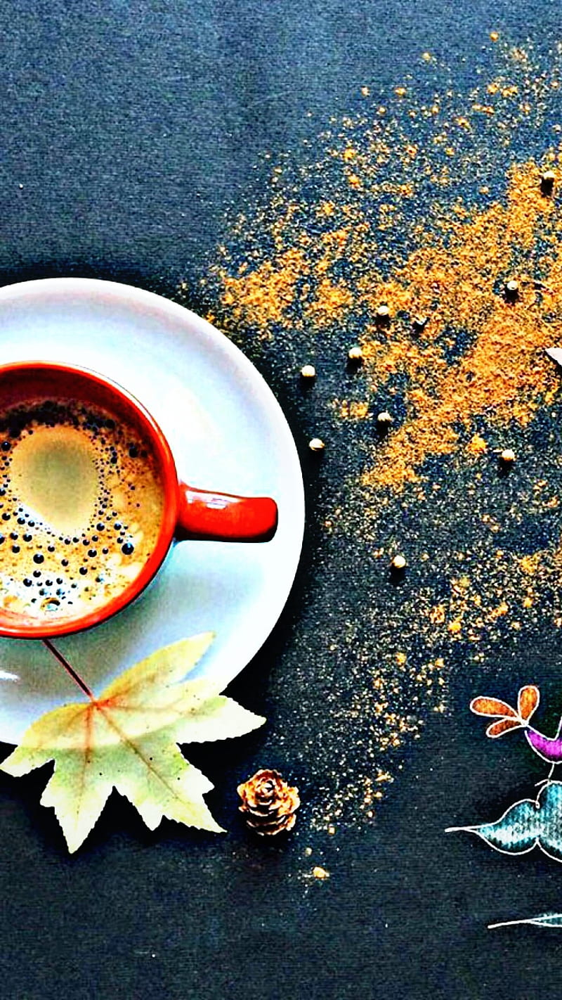 50088 Coffee 4K Fall Cup Leaf Drink Still Life  Rare Gallery HD  Wallpapers