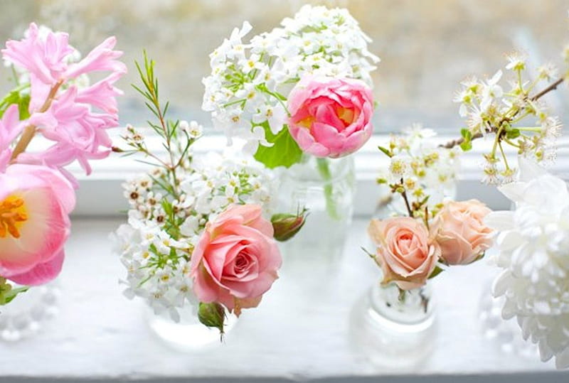 * Bright morning *, good morning, brigthness, rose, flowers, morning, tulip, HD wallpaper