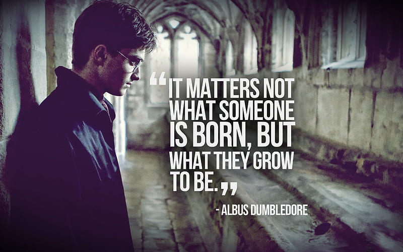 Harry Potter, potter, harry, movie, quote, HD wallpaper