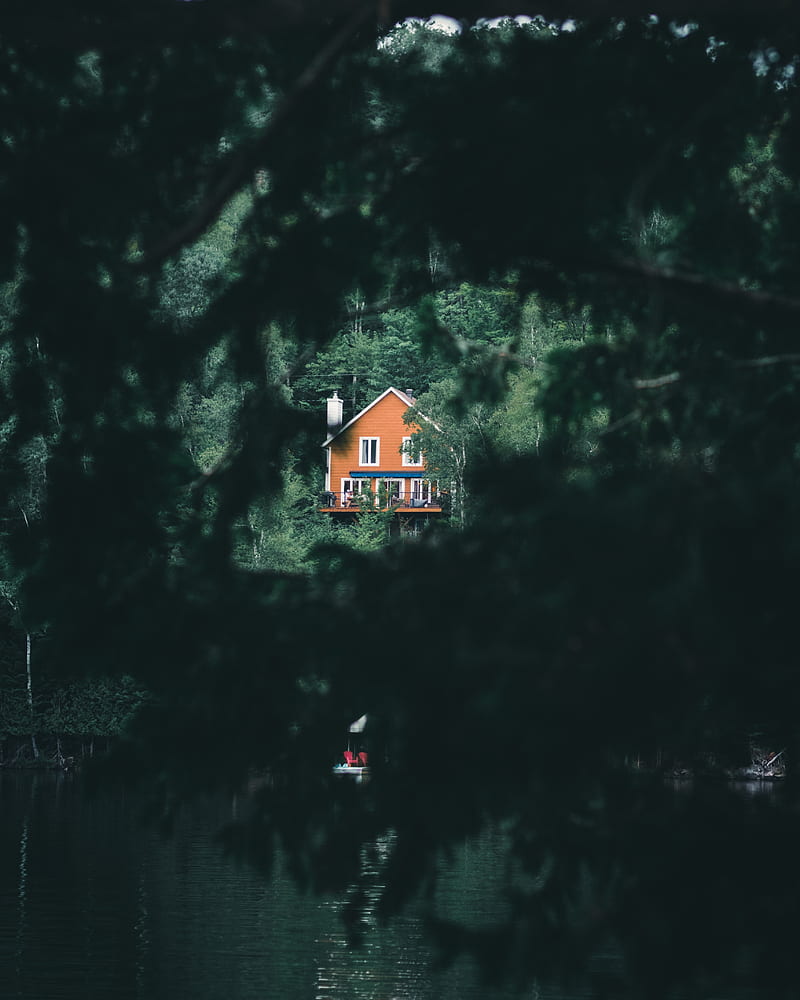 house, building, bushes, lake, forest, HD phone wallpaper
