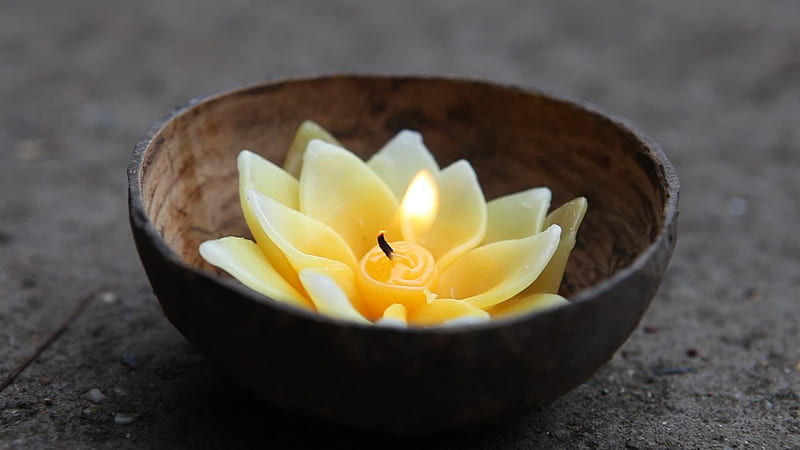 Flower Candle, candle, flame, lotus, relax, water lily, flower, wooden, bowl, HD wallpaper