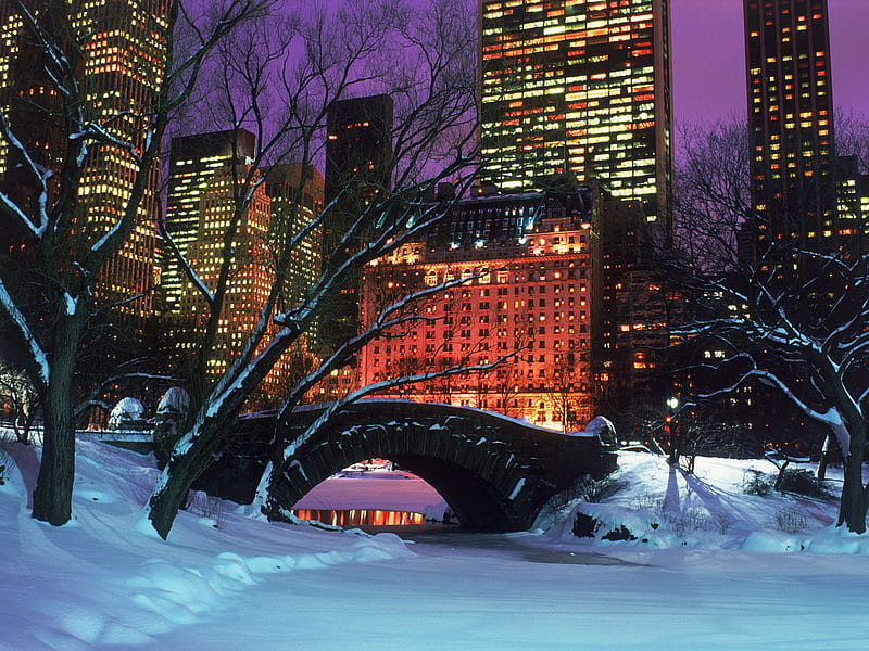 Central Park In Winter, new york, central park, bridge, trees, ny, night, winter, HD wallpaper