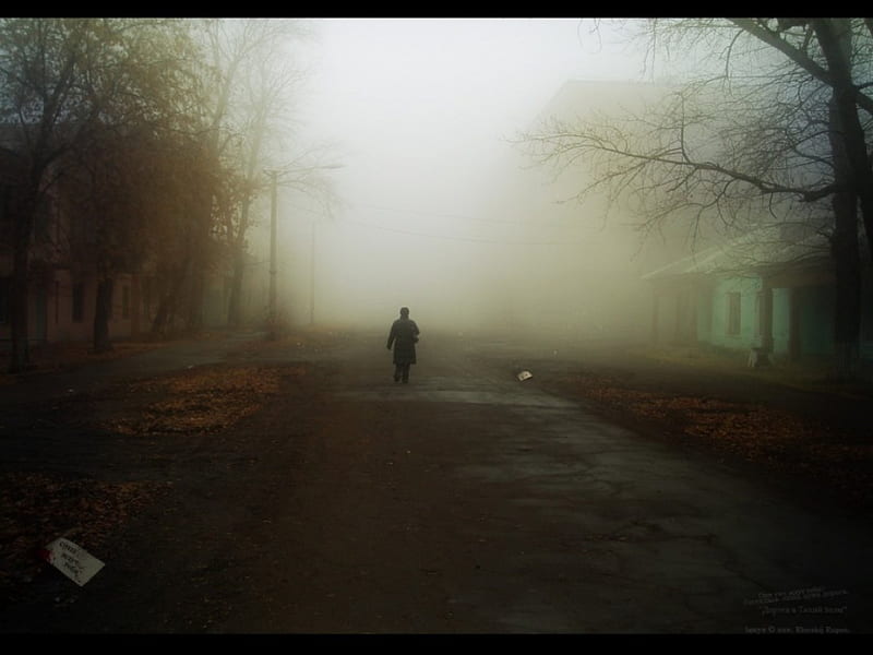Walking Alone, walk, alone, fog, mist, HD wallpaper