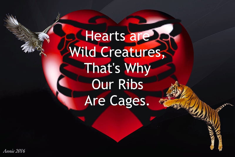 Hearts are Wild Creatures, red, rib cage, eagle, black, tiger, message, love, digital, Heart, animals, HD wallpaper