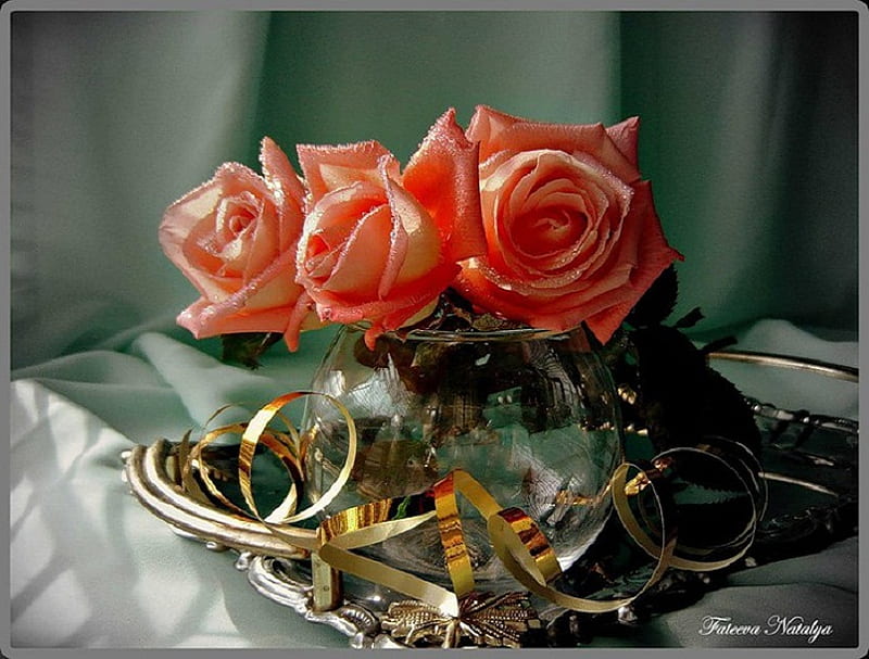 Lovely roses, glass, gold, vasem ribbon, coral, bonito, roses, bowl, HD wallpaper