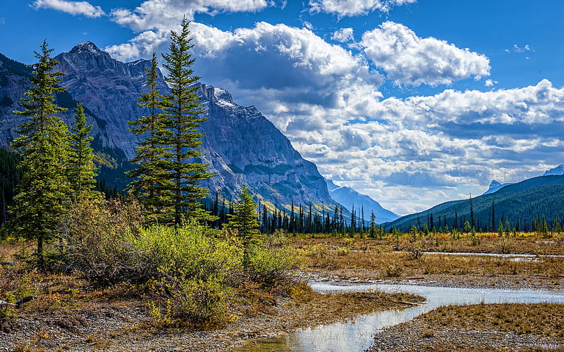 Canada, summer, mountains, sunny day, river, Alberta, beautiful nature, R, HD wallpaper