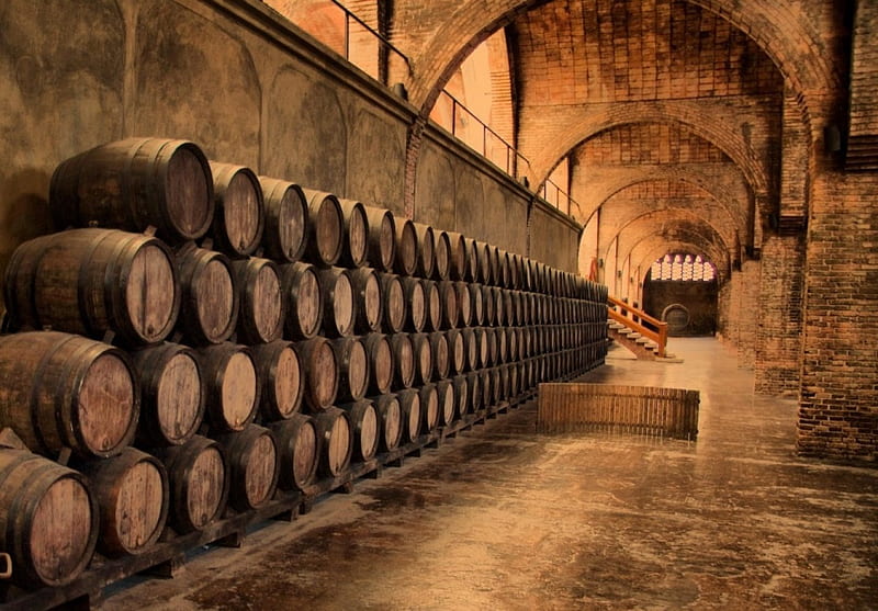 wine cellar, old wine cellar, brown, wine, old cellar, cellar, old, HD wallpaper