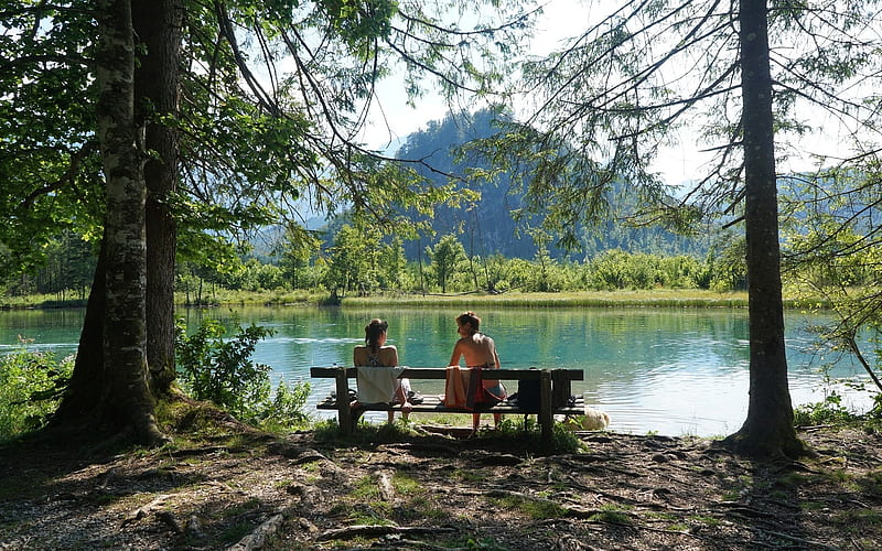 Lake Almsee, Austria, bench, trees, mountains, lake, Austria, HD wallpaper