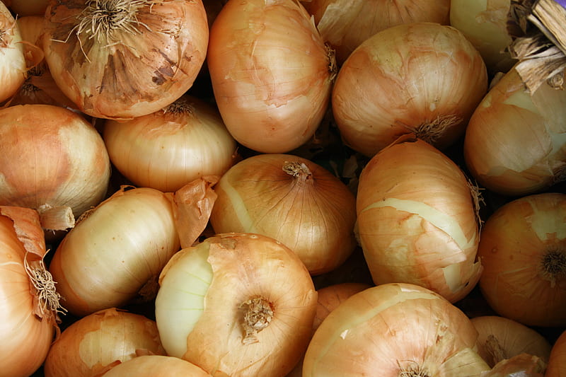 brown onion lot, HD wallpaper