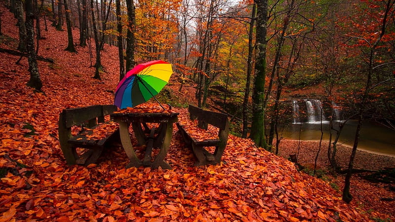 Red Carpet, leaves, picnic bench, woods, umbrella, nature, trees, picnic, waterfalls, HD wallpaper