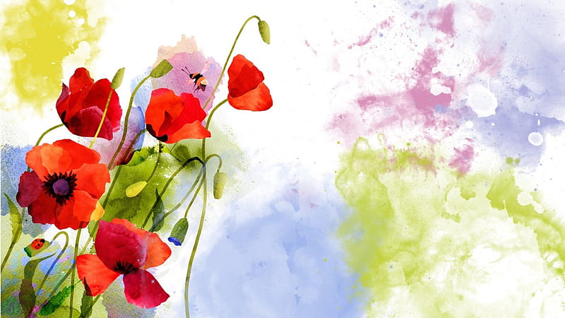 Poppy Art, wild flowers, paint, splatter, poppies, spring, splash, summer, flowers, watercolor, HD wallpaper