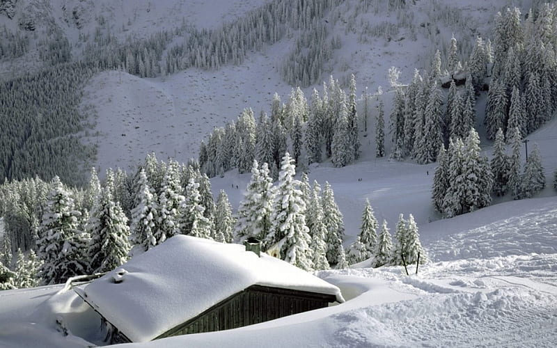 bavarian alps, tree, cabin, snow, winter, HD wallpaper