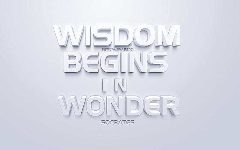 Wisdom begins in wonder, Socrates quotes, white 3d art, white background, quotes about wisdom, HD wallpaper