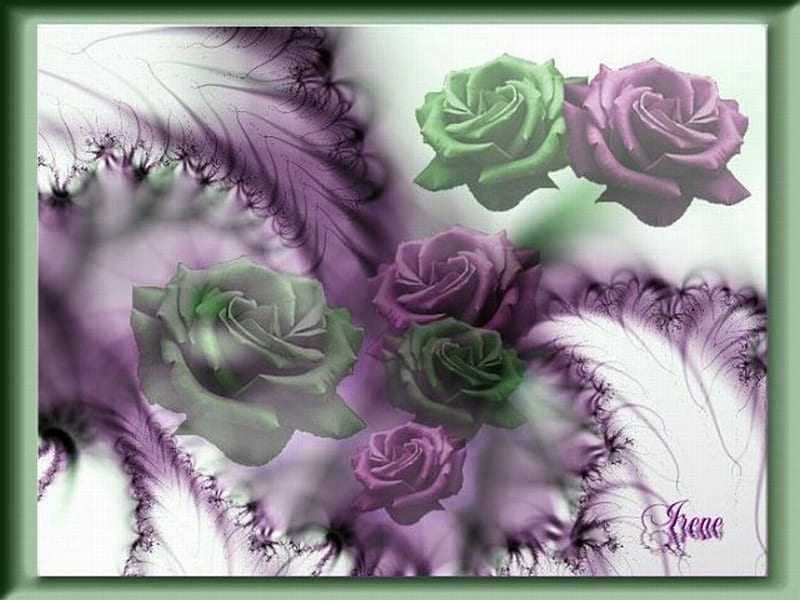 TOUCH OF ROSES, flowers, roses, purple, green, HD wallpaper | Peakpx