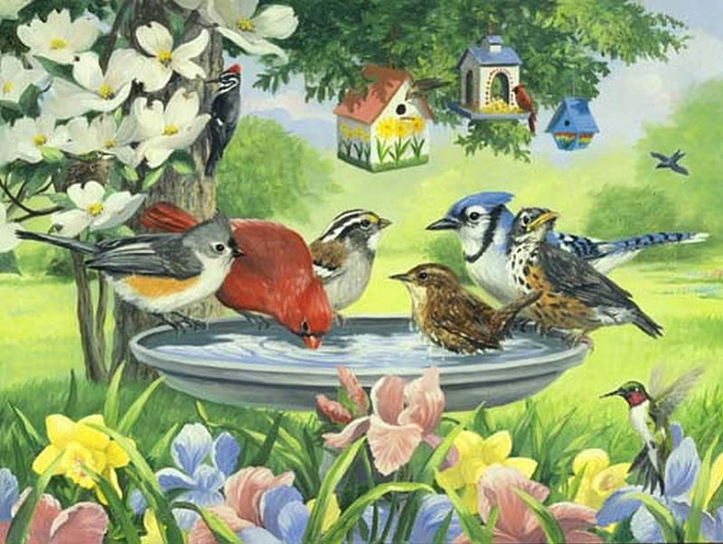 PARADISE FOR BIRDS, birds, garden, feeders, birdhouses, HD wallpaper