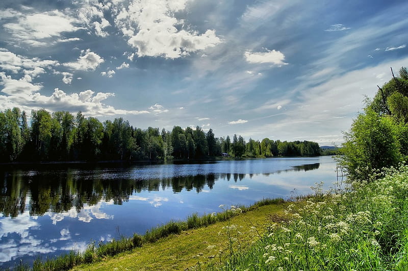 Swedish Summer, bsummer, view, swedish beautiful, flowers, lake, HD wallpaper