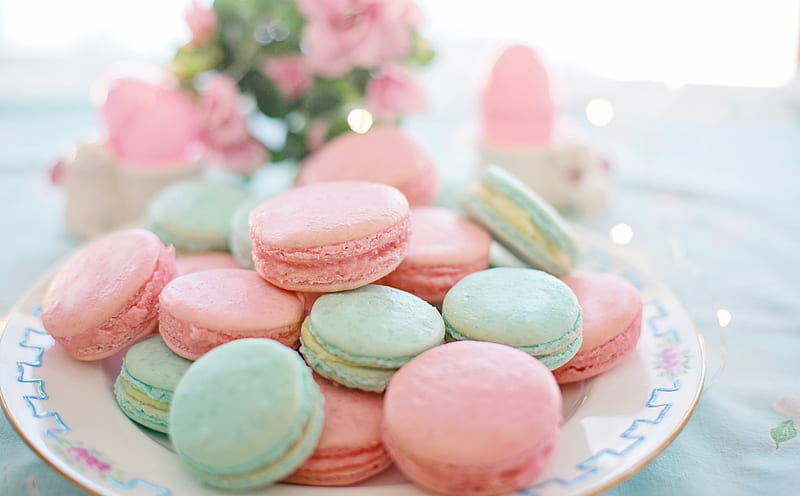 Pastel Macarons Aesthetic Ultra, Food and Drink, Colors, Plate, Sweet,  Cute, HD wallpaper | Peakpx